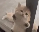 eeeelp emote for Discord