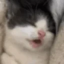 eepy emote for Discord