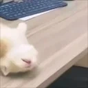 eepington emote for Discord