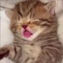 eeping emote for Discord