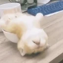 eep emote for Discord