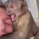 edsonHusbando emote for Discord