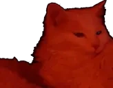 EddieBedge emote for Discord