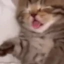 eeping emote for Discord