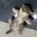 eepy emote for Discord