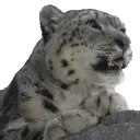 eepy emote for Discord