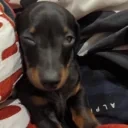 eepy emote for Discord