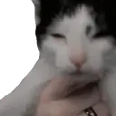 eepy emote for Discord