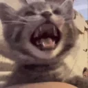 eepicha emote for Discord