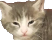 eepyRottbert emote for Discord