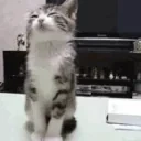 eepyy emote for Discord