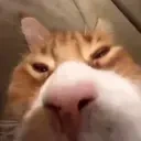 eepy emote for Discord