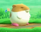 eepy emote for Discord