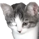 EEPY emote for Discord