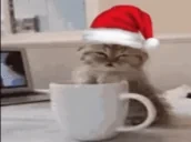 eepy emote for Discord