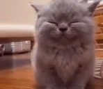 eepin emote for Discord