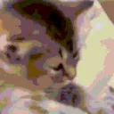 eepy emote for Discord