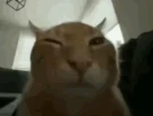 eeh emote for Discord