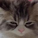 eepy emote for Discord