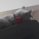 Eftsirius emote for Discord