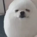 egg emote for Discord