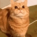 Effrereal emote for Discord