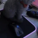 EftSirius2 emote for Discord