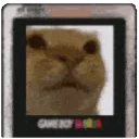 egaddCalling emote for Discord