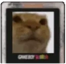 egaddCalling animated emote for Discord, Twitch and Slack