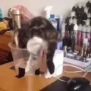 eepy emote for Discord