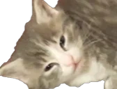 eepyRottbert emote for Discord