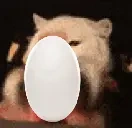 EgShakey emote for Discord