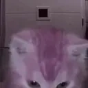 Ego emote for Discord