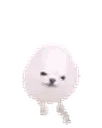 Eggdogbug emote for Discord