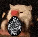 eggShakey emote for Discord