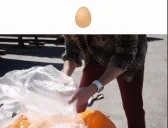 egg emote for Discord