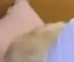 EggyMeow emote for Discord