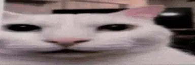 eh emote for Discord