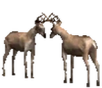 eh emote for Discord