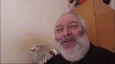 EgwOtanPernw2 emote for Discord