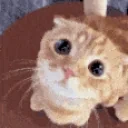 eh emote for Discord