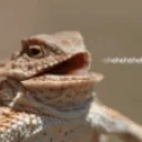 eheh emote for Discord