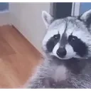 ehehe emote for Discord