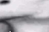 eisbaer5 emote for Discord