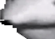 eisbaer4 emote for Discord