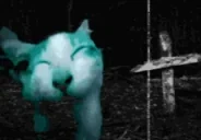 ehehe emote for Discord