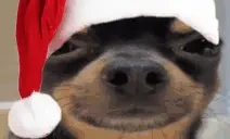 ehh emote for Discord