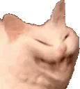 ehehe emote for Discord
