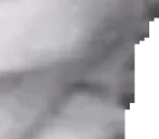 eisbaer6 emote for Discord