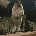 ehi emote for Discord